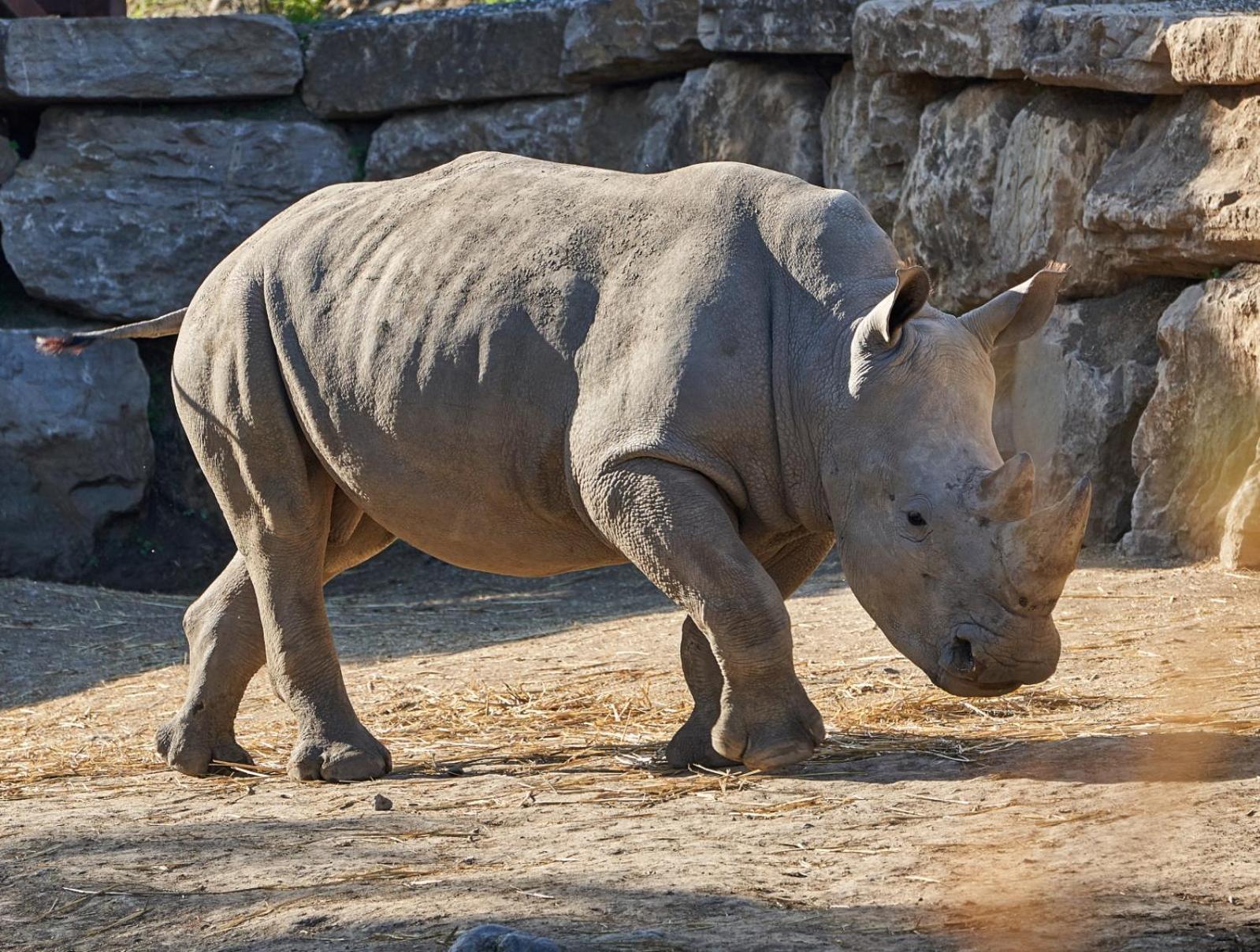 Hotell Selwo - Animal Park Tickets Included